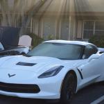 cambria_169 (November 03, 2018)